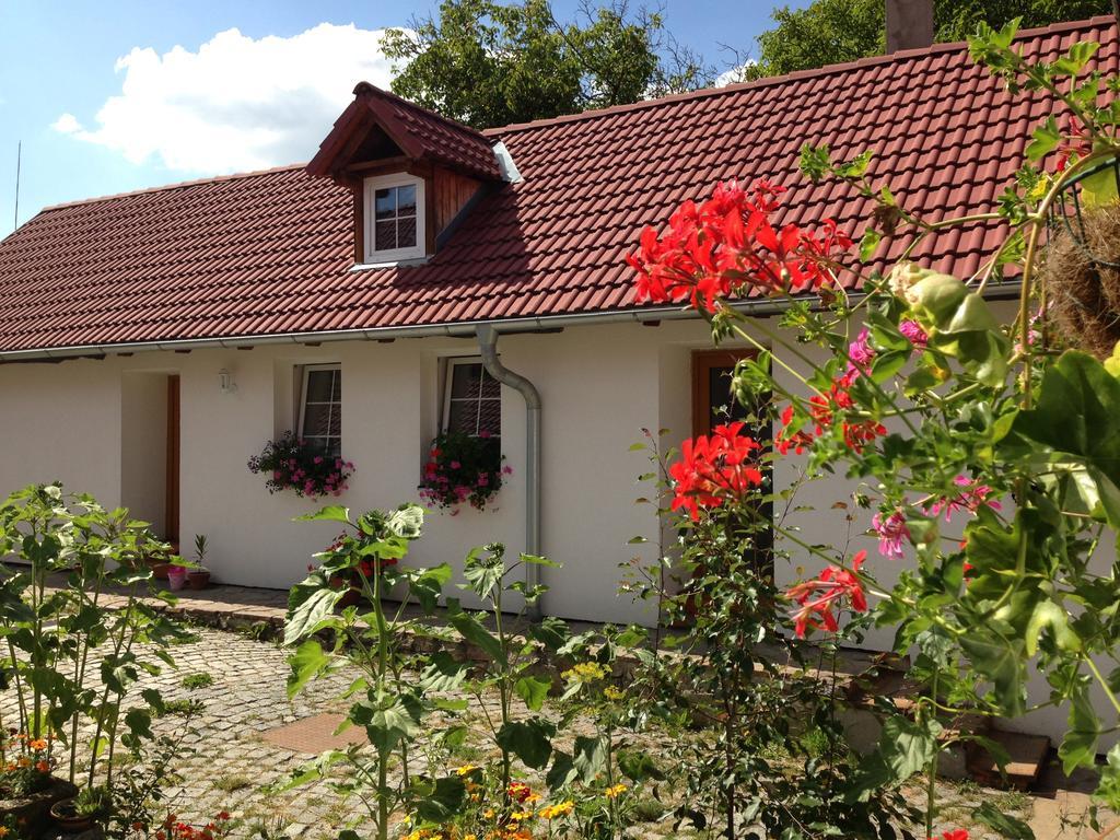Apartmany Jílovice Extérieur photo